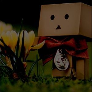 Meet your Posher, Dan